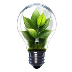 green light bulb, light bulb with green leaf, green energy concept, transparent background