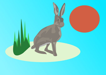 an illustration of a hare