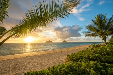 Fototapeten Sunrise at Lanikai Beach on Oahu, Hawaii © shanemyersphoto