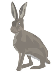 an illustration of a hare - 755167673