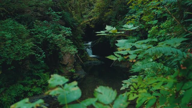 Gentle Waterfall In Secret Green Summer Forest
