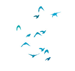 A flock of blue watercolor flying birds. hand drawing. Not AI, Free birds abstraction. Vector illustration