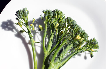 Obraz premium Flowering tenderstem broccoli on a white plate