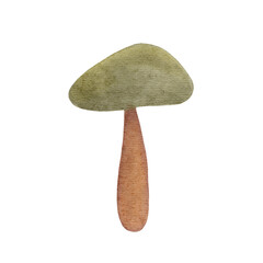 Watercolor mushrooms PNG