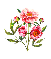 Watercolor peony Flower composition in pastel pink and peach colors with flowers, buds and green leaves. Hand drawn floral illustration on isolated background for greeting cards or wedding invitations
