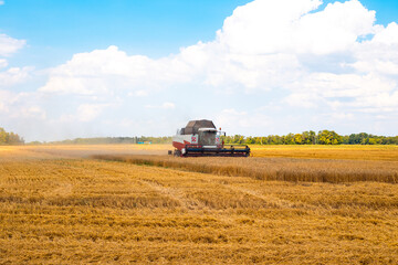 A combine harvester drives through a wheat field and mows the wheat. Harvest