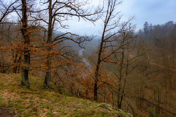 Wunderschöne Aussicht von einem Berg auf eine Straße und Wald 