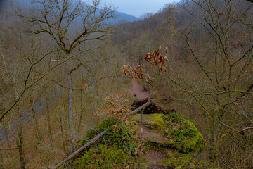 Wunderschöne Aussicht von einem Berg auf einen Wald und einen Feldweg