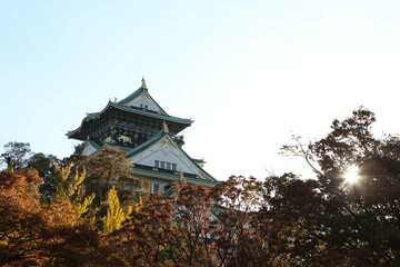 Fototapeta premium Osaka Castle in Osaka,Kansai,Japan in Fall or Autumn season. High quality photo