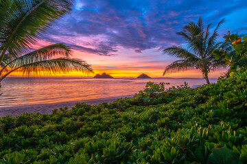 Beach sunrise at Lanikai in Kailua, Oahu, Hawaii
