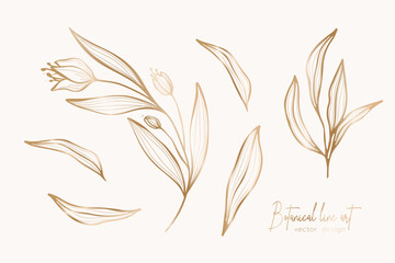 Botanical elegant gold line art illustration of flower leaves branch for wedding invitation and cards, logo design, web, social media and poster, template, advertisement, beauty and cosmetic industry.