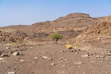 Djibouti, landcape around the lake Abbe in the Afar Depression