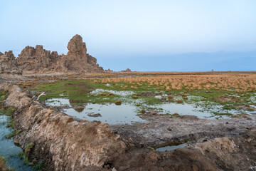 Djibouti, vieuw at the lake Abbe with its rock formations