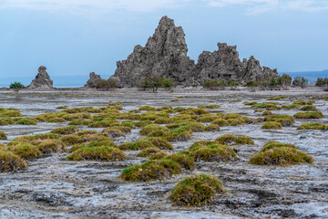 Djibouti, vieuw at the lake Abbe with its rock formations