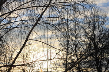 Evening sky before sunset in winter - 755189478