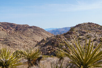 Fototapeta na wymiar Scenic view near Desert Queen Mine in Joshua Tree National Park, California