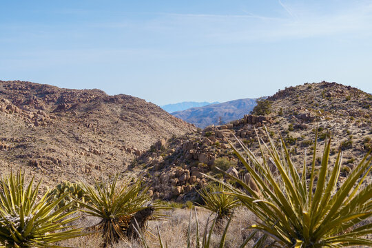 Scenic view near Desert Queen Mine in Joshua Tree National Park, California