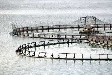 View of salmon fish farming pens