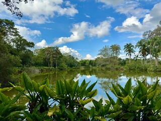 Linda area verde com fundo do céu azul e uma lagoa.