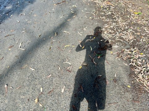 Sombra de um homem caminhando no parque.