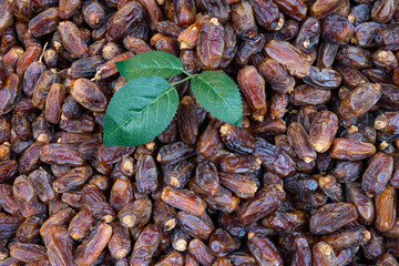 The Food of Ramadan Cuisine Dates Fruits (Hurma), Eminonu Fatih, Istanbul Turkiye (Turkey)