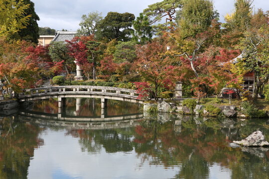 Japan autumn image. Beautiful Japanese garden with a pond and red leaves. Daigo temple in Kyoto. . High quality photo