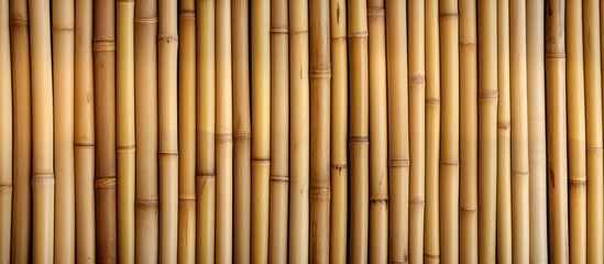 Fototapeta premium This close up view shows the intricate pattern and texture of a bamboo wall. The individual pieces of bamboo are tightly woven together, creating a visually interesting and natural design.