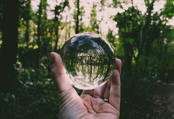 Hand holding a crystal ball in a green forest - obrazy, fototapety, plakaty