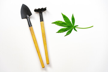 Cannabis leaf, rake and spade on white background. Copy space. Concept of growing medical cannabis