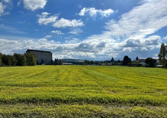 field in the village of Dobra