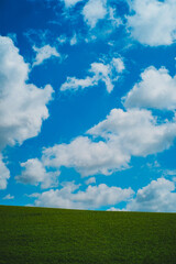 Green Field meets Blue Sky