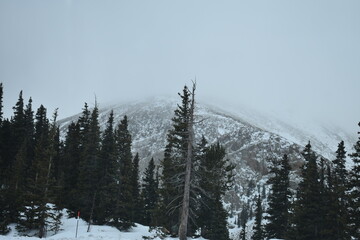 Snowy Colorado Rocky Mountain Landscapes