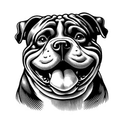 American Bully dog portrait. Hand Drawn Pen and Ink. Vector Isolated in White. Engraving vintage style illustration for print, tattoo, t-shirt, sticker	