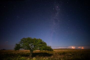 Fototapeta na wymiar Pampas landscape photographed at night with a starry sky, La Pampa province, Patagonia , Argentina.