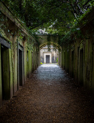 View of Highgate Cemetery, a place of burial in north London, next to Waterlow Park, in the London...