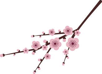 Pink plum blossom branch. Oriental flower flat illustration.