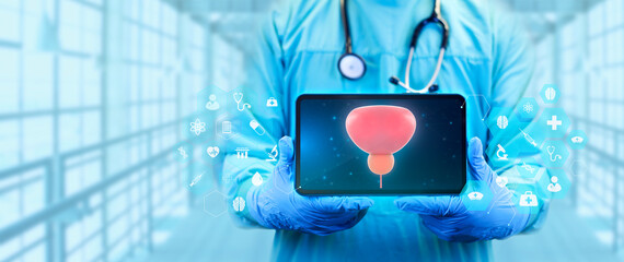 The Doctor studies and analyzes the bladder with the prostate on the digital tablet. Doctor scene...