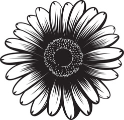 Vivid Blossom Gerbera Daisy Vector Emblem Natures Charm Gerbera Daisy Icon Design