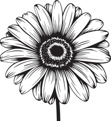 Floral Majesty Gerbera Daisy Icon Design Blossom Brilliance Gerbera Daisy Logo in Vector