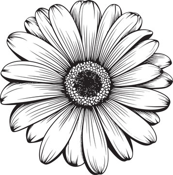 Blossom Bliss Gerbera Daisy Vector Emblem Radiant Bloom Gerbera Daisy Icon Design