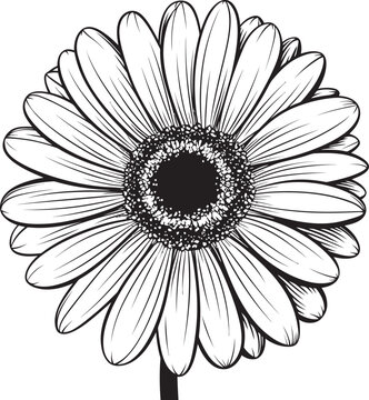 Sunshine Blossom Gerbera Daisy Icon Design Vibrant Petals Gerbera Daisy Logo in Vector