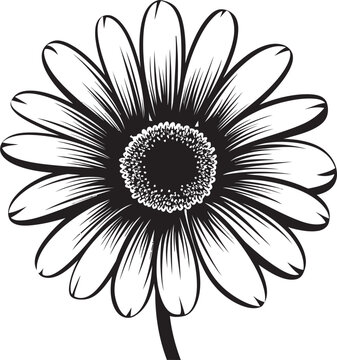 Vivid Bloom Gerbera Daisy Icon Design Natures Charm Gerbera Daisy Logo in Vector