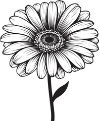 Blossom Brilliance Gerbera Daisy Logo Design Idea Sunny Petals Gerbera Daisy Icon Inspiration