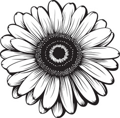 Sunny Petals Gerbera Daisy Icon Inspiration Vivid Bloom Gerbera Daisy Logo in Vector