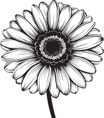 Botanical Beauty Gerbera Daisy Vector Emblem Sunshine Bloom Gerbera Daisy Icon in Vector