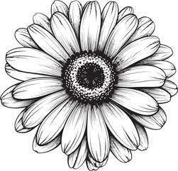 Fresh Floral Gerbera Daisy Vector Icon Daisy Delight Gerbera Daisy Logo in Vector