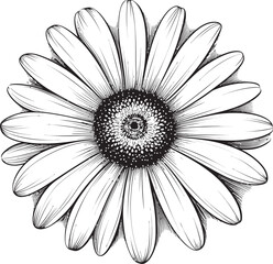 Vibrant Vitality Gerbera Daisy Icon in Vector Natures Canvas Gerbera Daisy Logo Design