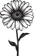 Radiant Reverie Gerbera Daisy Vector Emblem Petals Paradise Gerbera Daisy Icon Design