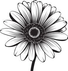 Daisy Dreams Gerbera Daisy Logo Design Bloom Bonanza Gerbera Daisy Vector Emblem