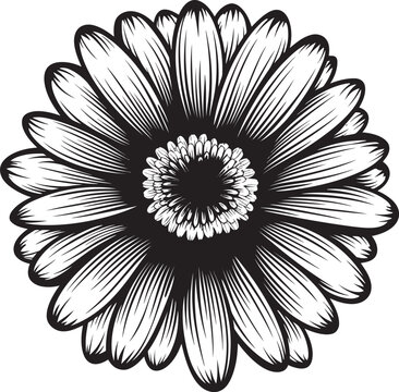 Bloom Bonanza Gerbera Daisy Vector Emblem Vibrant Vitality Gerbera Daisy Icon in Vector